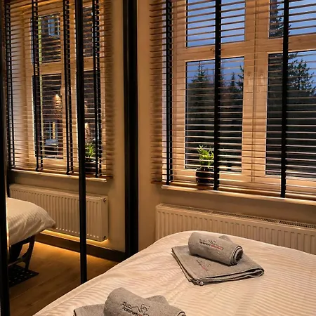 Brick Loft Nikiszowiec Апартаменты *