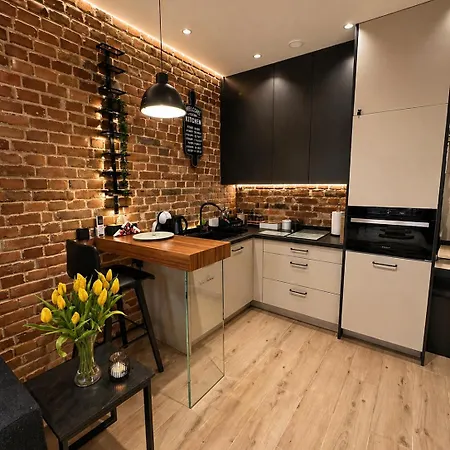 Brick Loft Nikiszowiec Апартаменты